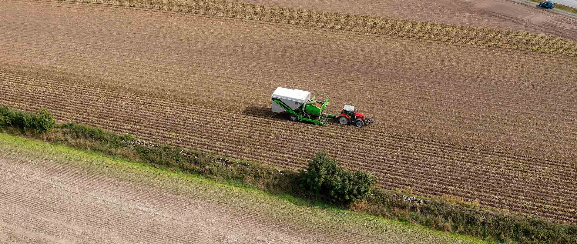 “探、收、烘、运”，看bbin宝盈如何四管齐下一站式保障秋收果实
