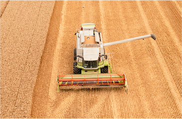 收——加大收割自动化力度，利用智能收获系统，保种保收，提产提质