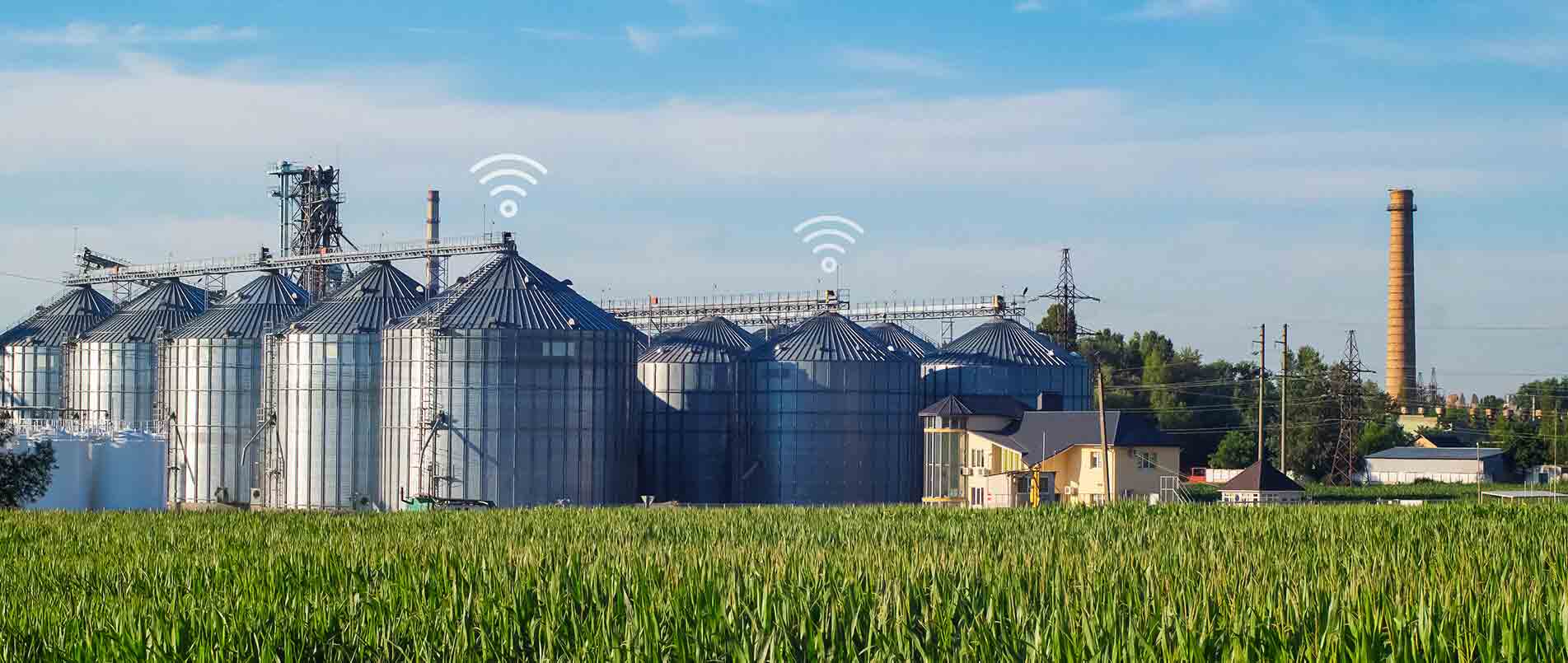 bbin宝盈助力夏粮存储新招式，科技手段更有效