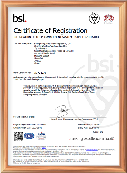 ISO/IEC 27001：信息安全管理体系