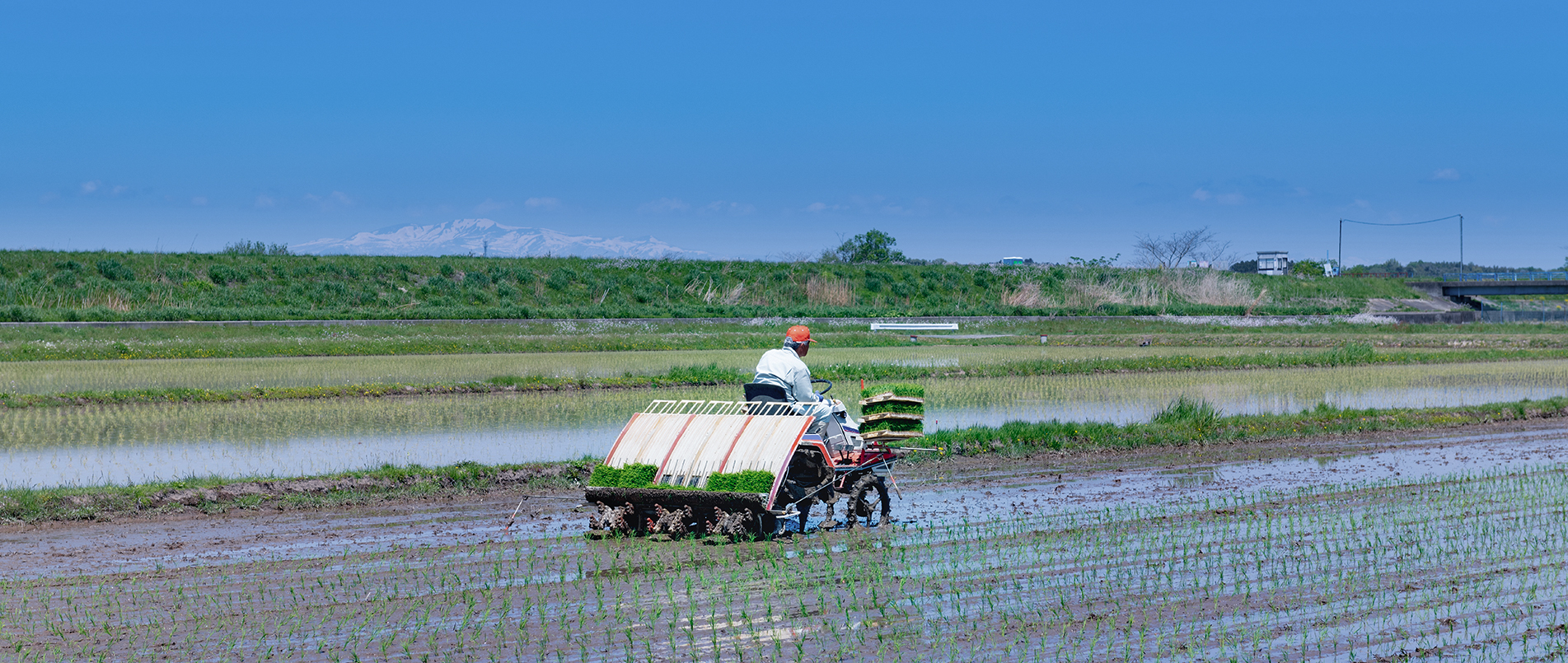 农机水田作业的“智慧大脑”——沃地泰FMA210，告别“经验种植”，开启精准高效农业之旅